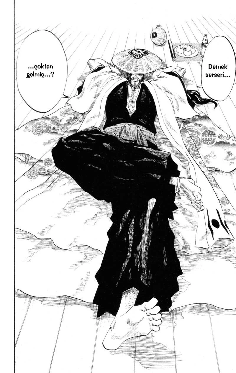 Bleach - Bölüm 102 - Sayfa 15