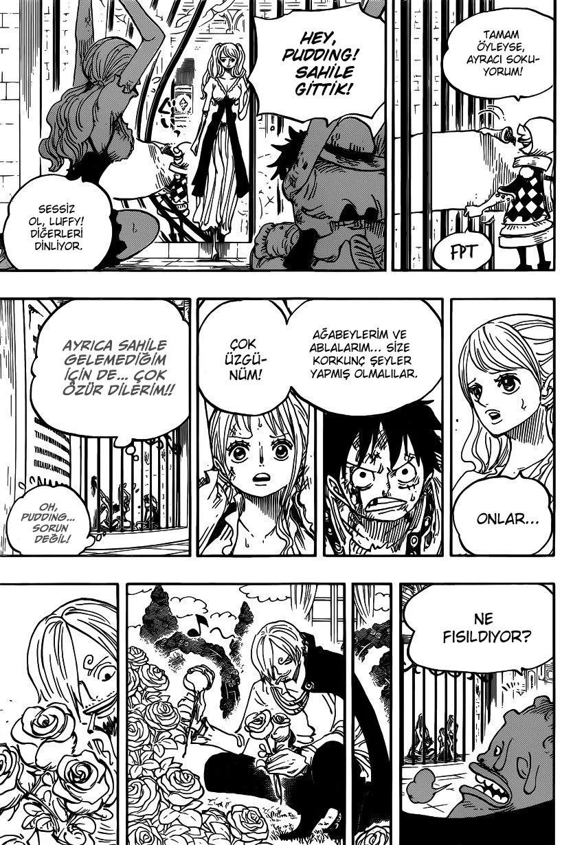 One Piece - Bölüm 848 - Sayfa 15