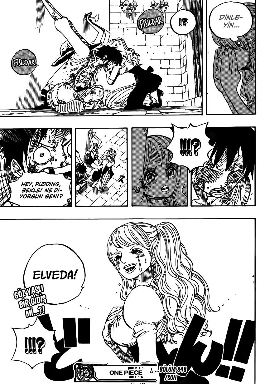 One Piece - Bölüm 848 - Sayfa 17