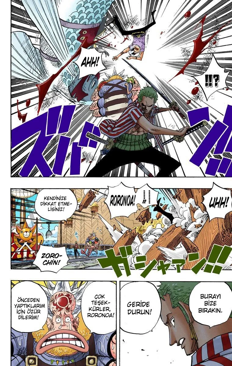 One Piece - Bölüm 493 - Sayfa 10
