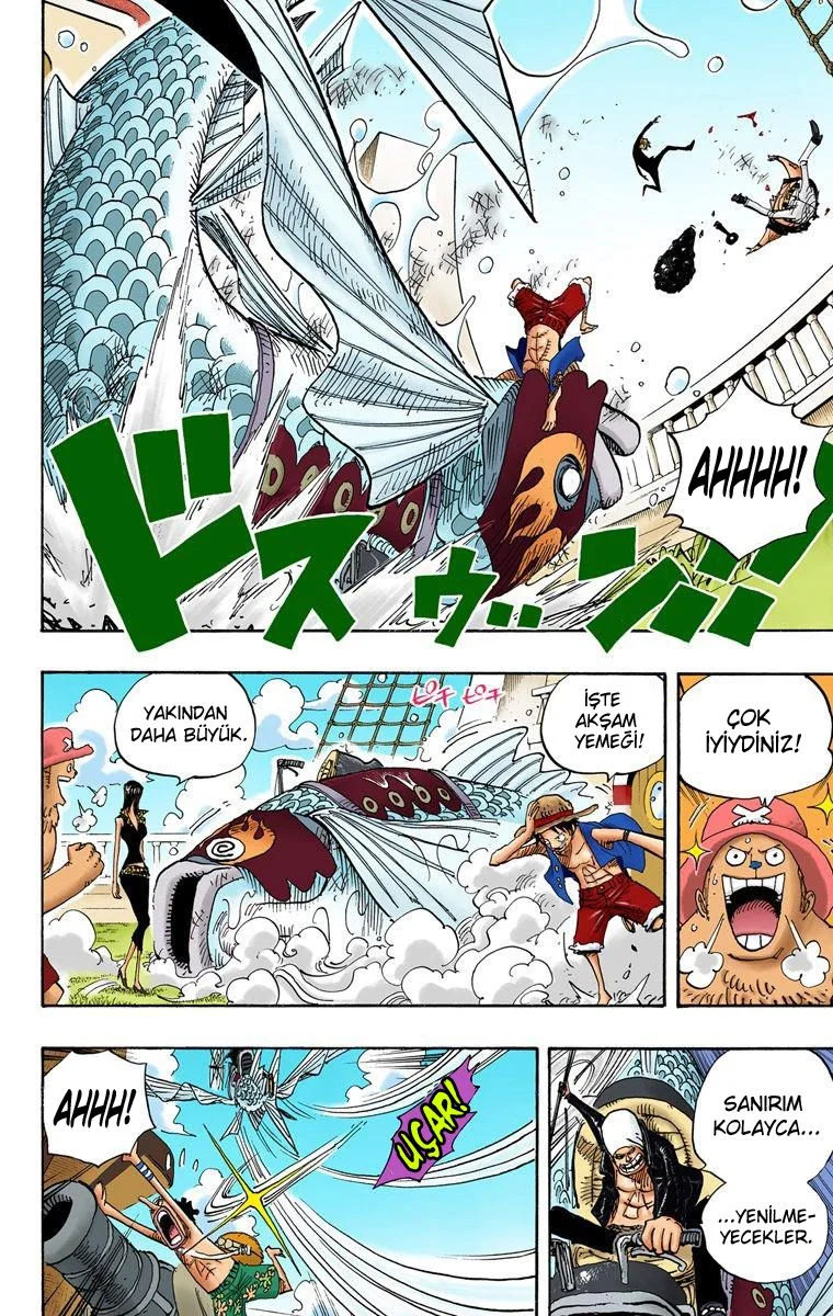 One Piece - Bölüm 493 - Sayfa 14