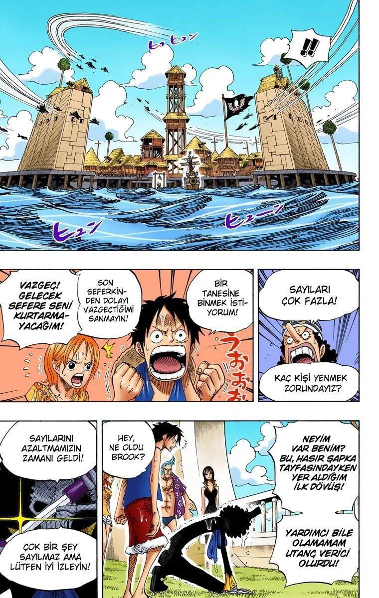 One Piece - Bölüm 493 - Sayfa 15