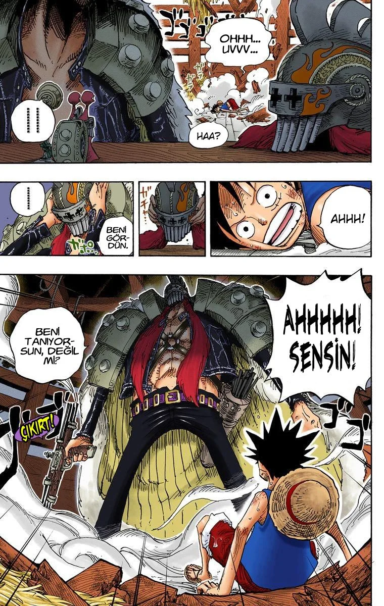 One Piece - Bölüm 493 - Sayfa 19