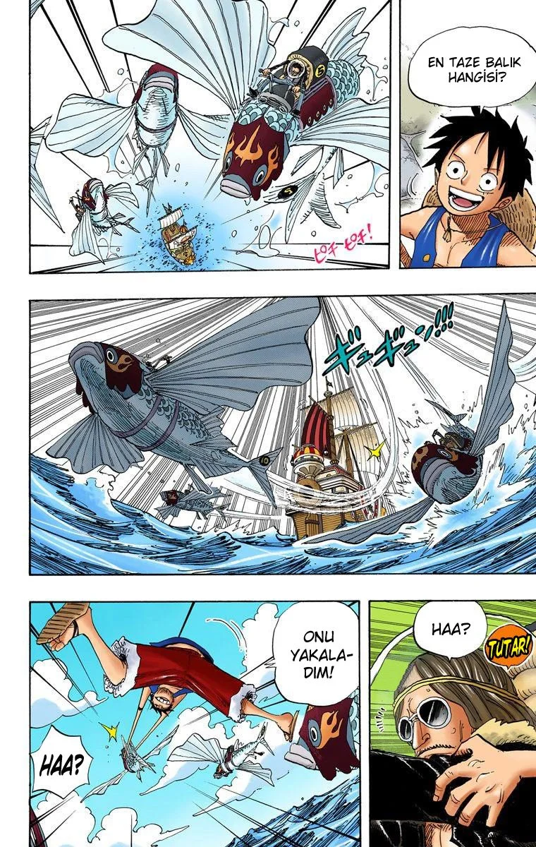 One Piece - Bölüm 493 - Sayfa 4