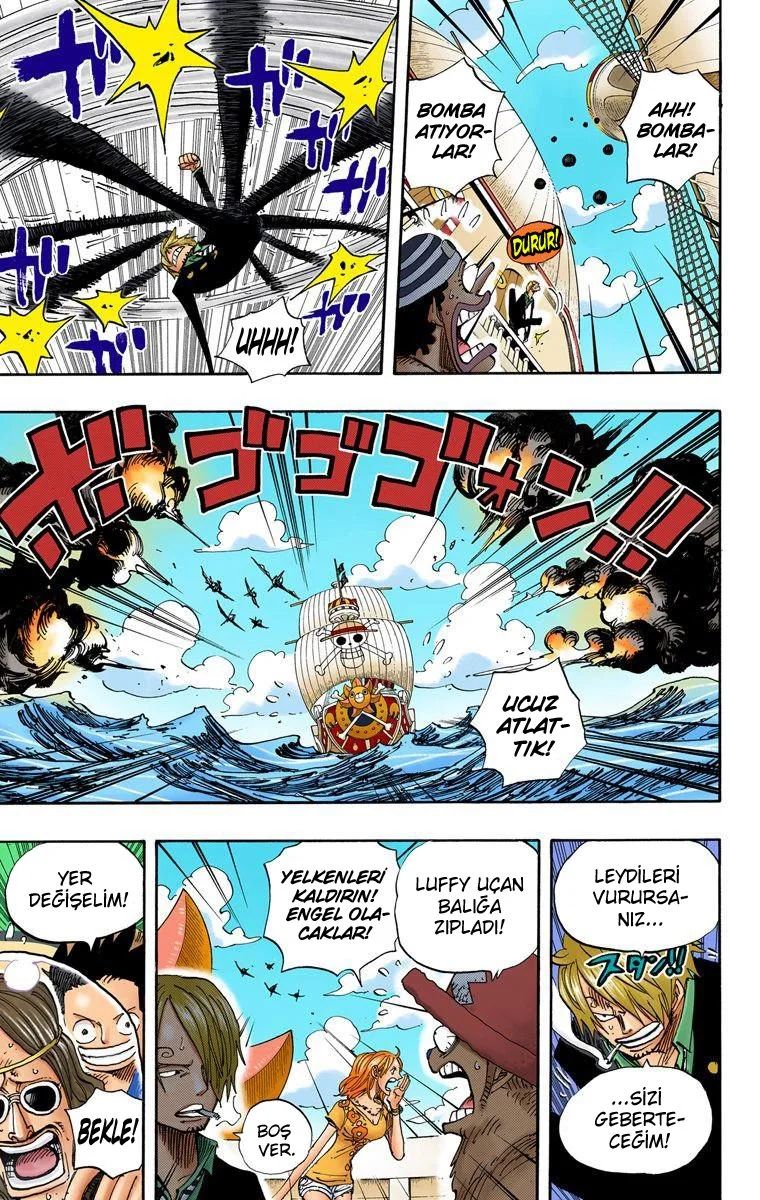 One Piece - Bölüm 493 - Sayfa 5