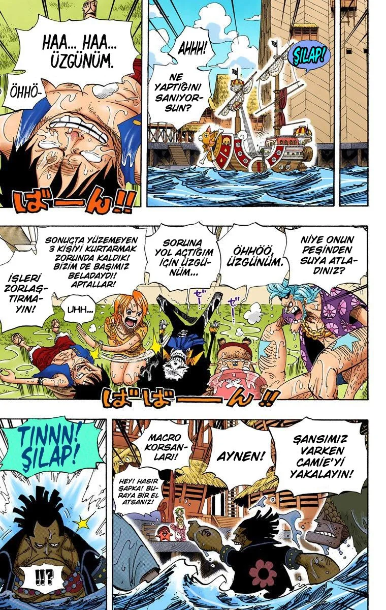 One Piece - Bölüm 493 - Sayfa 7