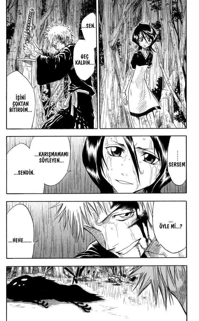 Bleach - Bölüm 24 - Sayfa 10
