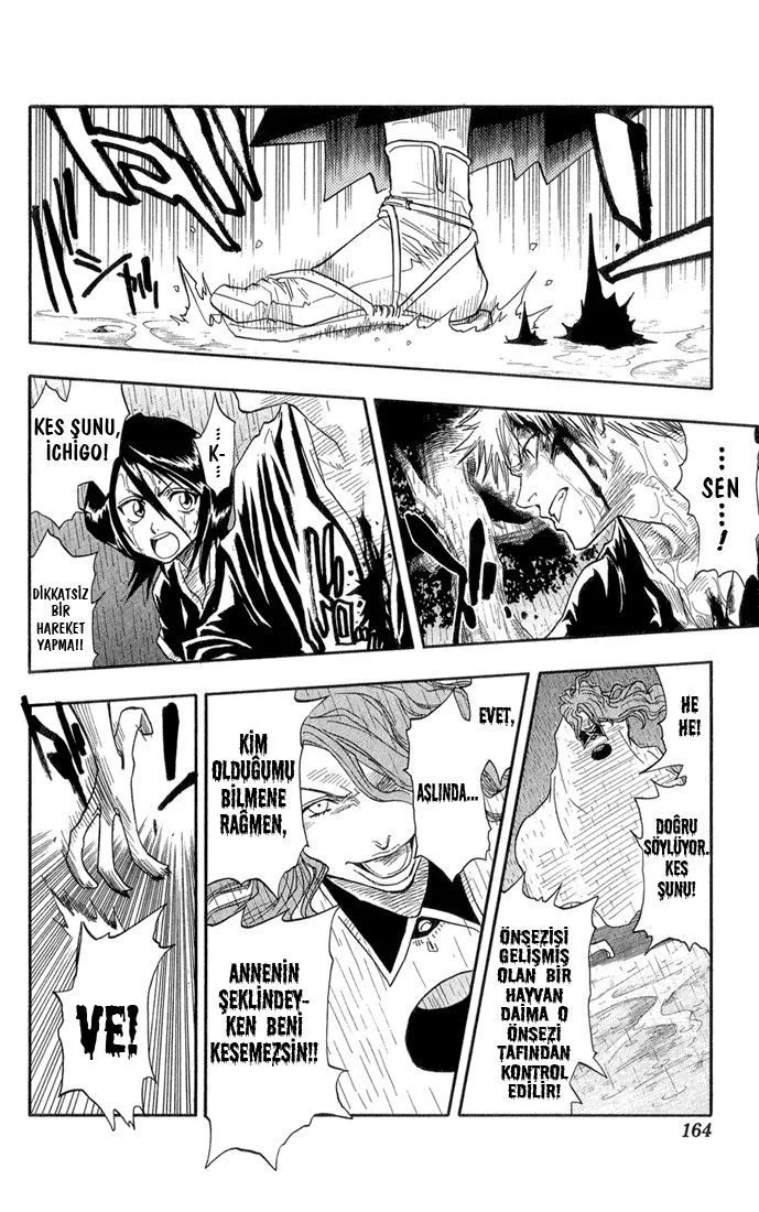 Bleach - Bölüm 24 - Sayfa 16