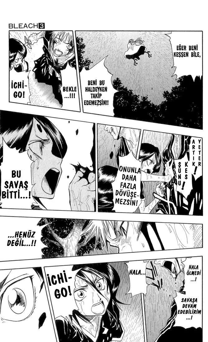 Bleach - Bölüm 24 - Sayfa 17
