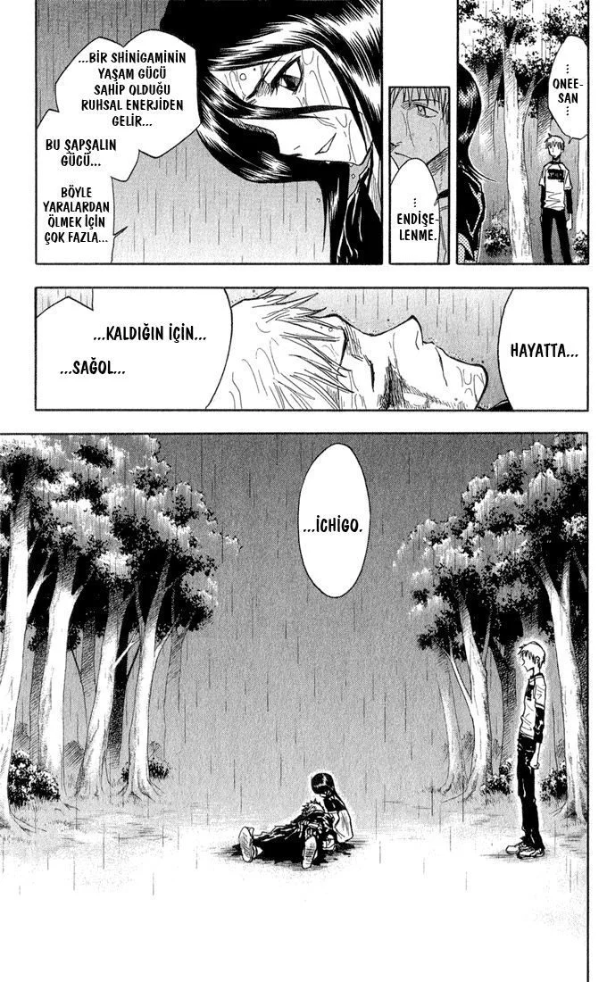 Bleach - Bölüm 24 - Sayfa 19