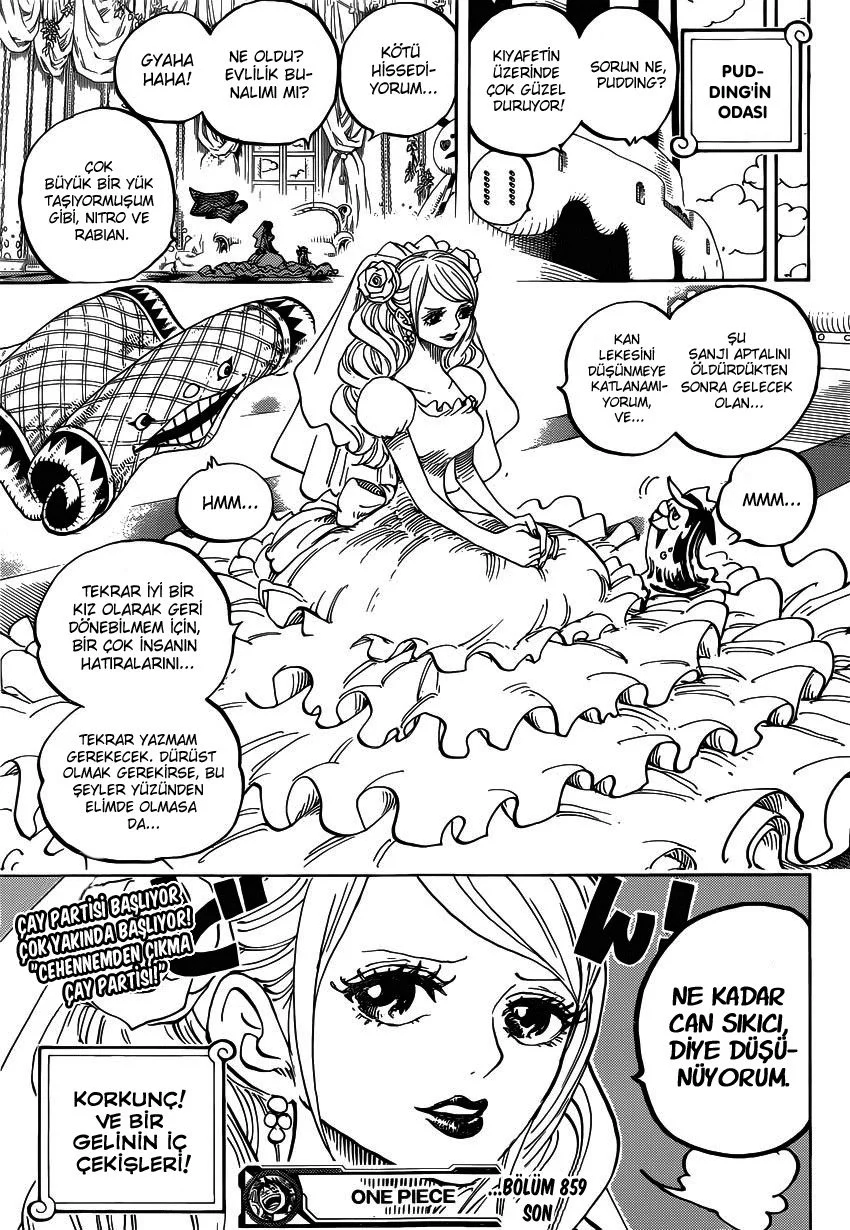 One Piece - Bölüm 859 - Sayfa 16