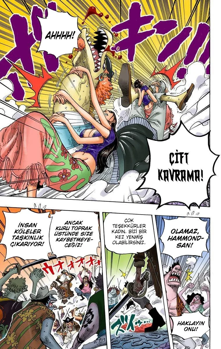 One Piece - Bölüm 643 - Sayfa 5