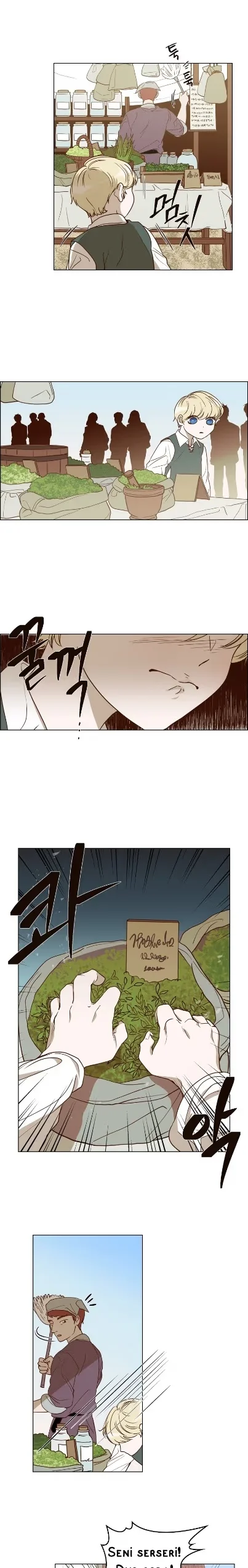 The Villain's Savior - Bölüm 1 - Sayfa 17