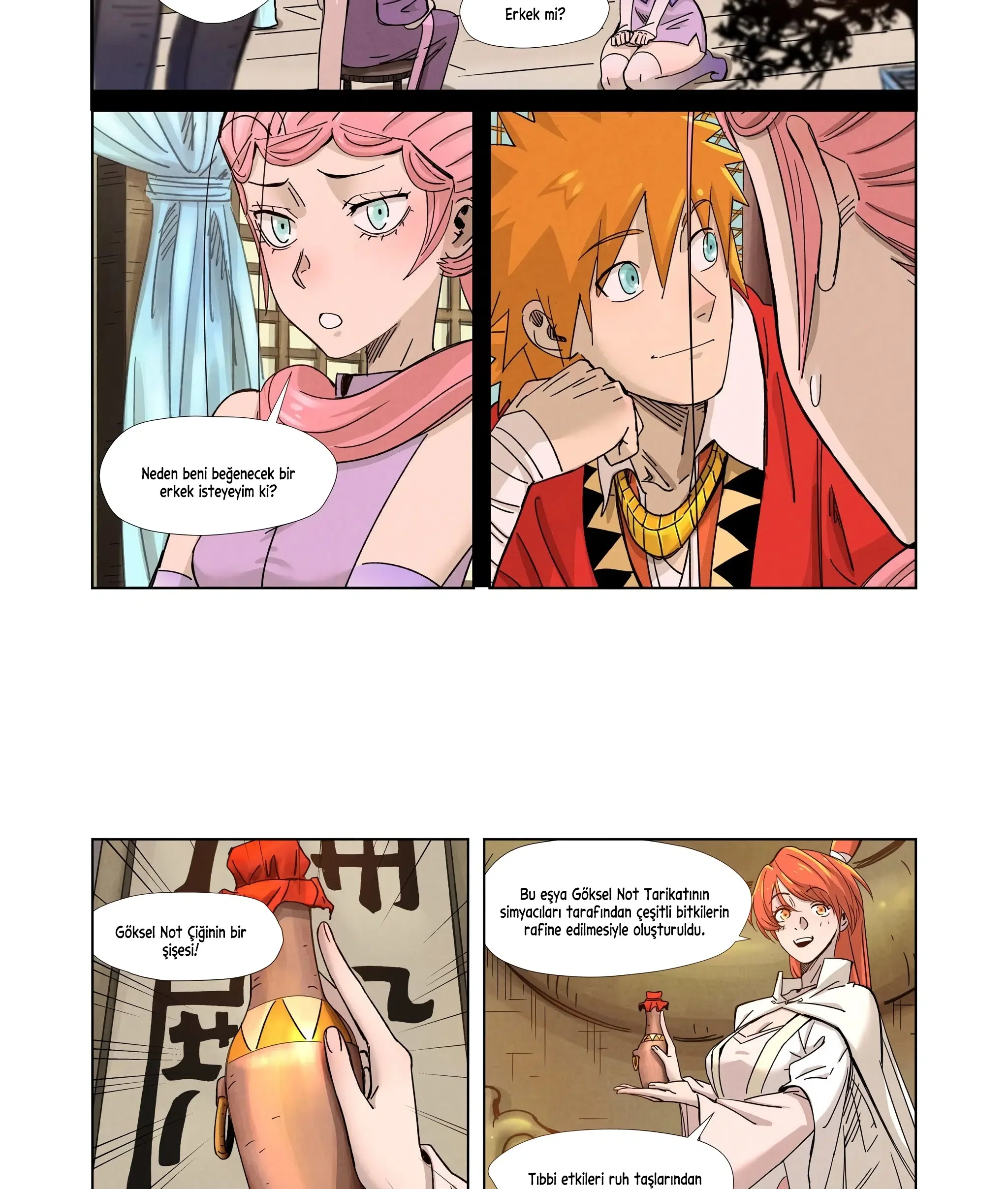 Tales of Demons and Gods - Bölüm 336.5 - Sayfa 10