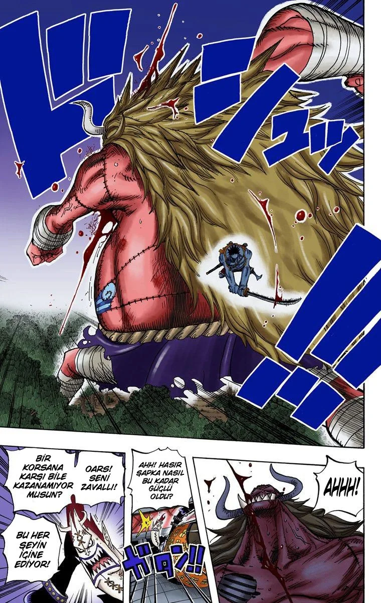 One Piece - Bölüm 479 - Sayfa 9