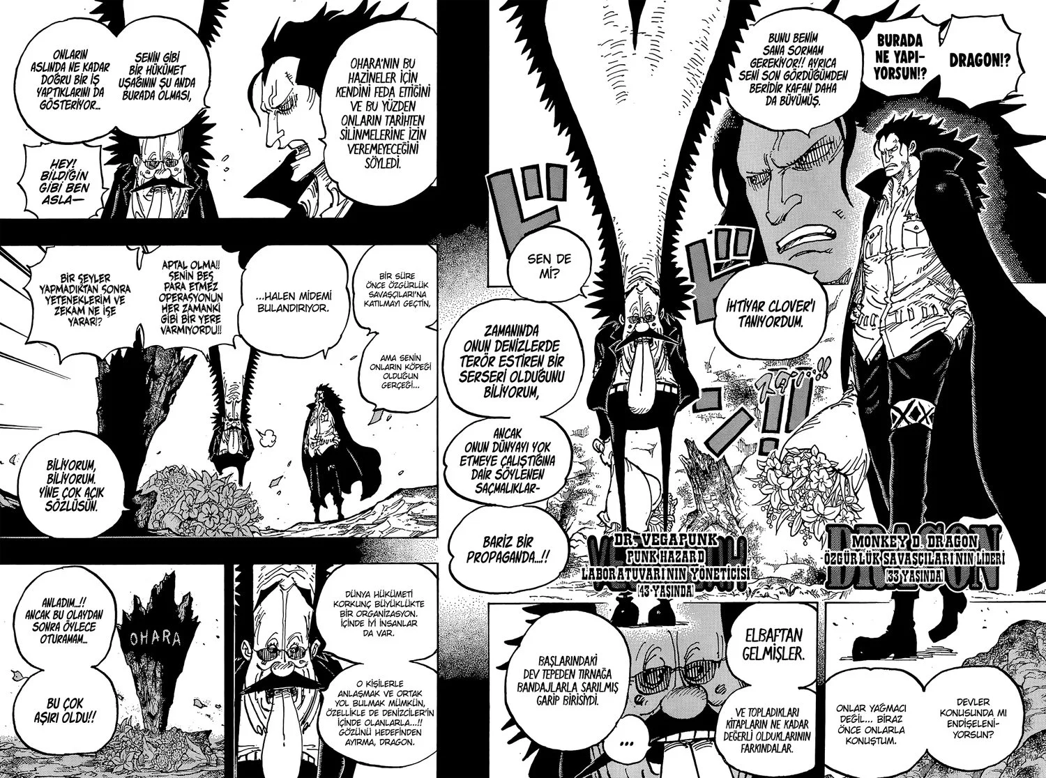 One Piece - Bölüm 1066 - Sayfa 11