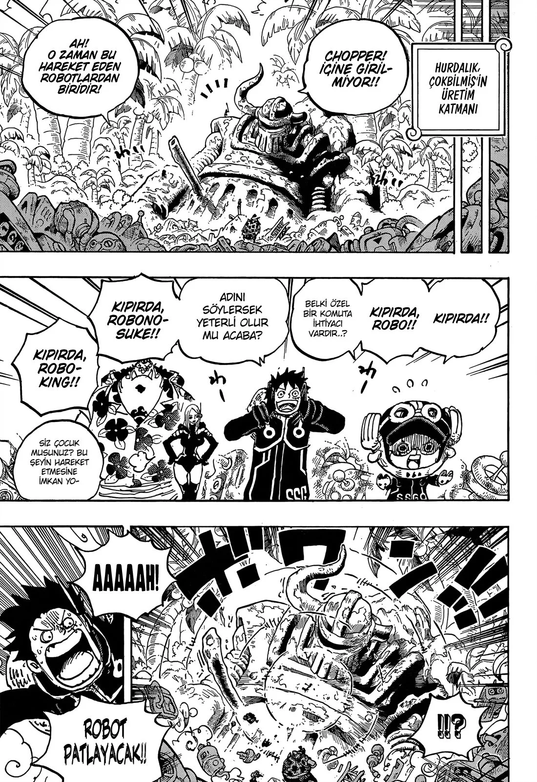 One Piece - Bölüm 1066 - Sayfa 15