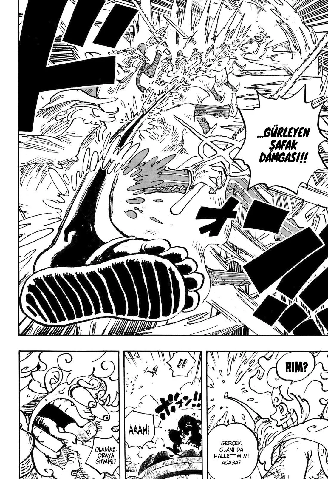 One Piece - Bölüm 1093 - Sayfa 13