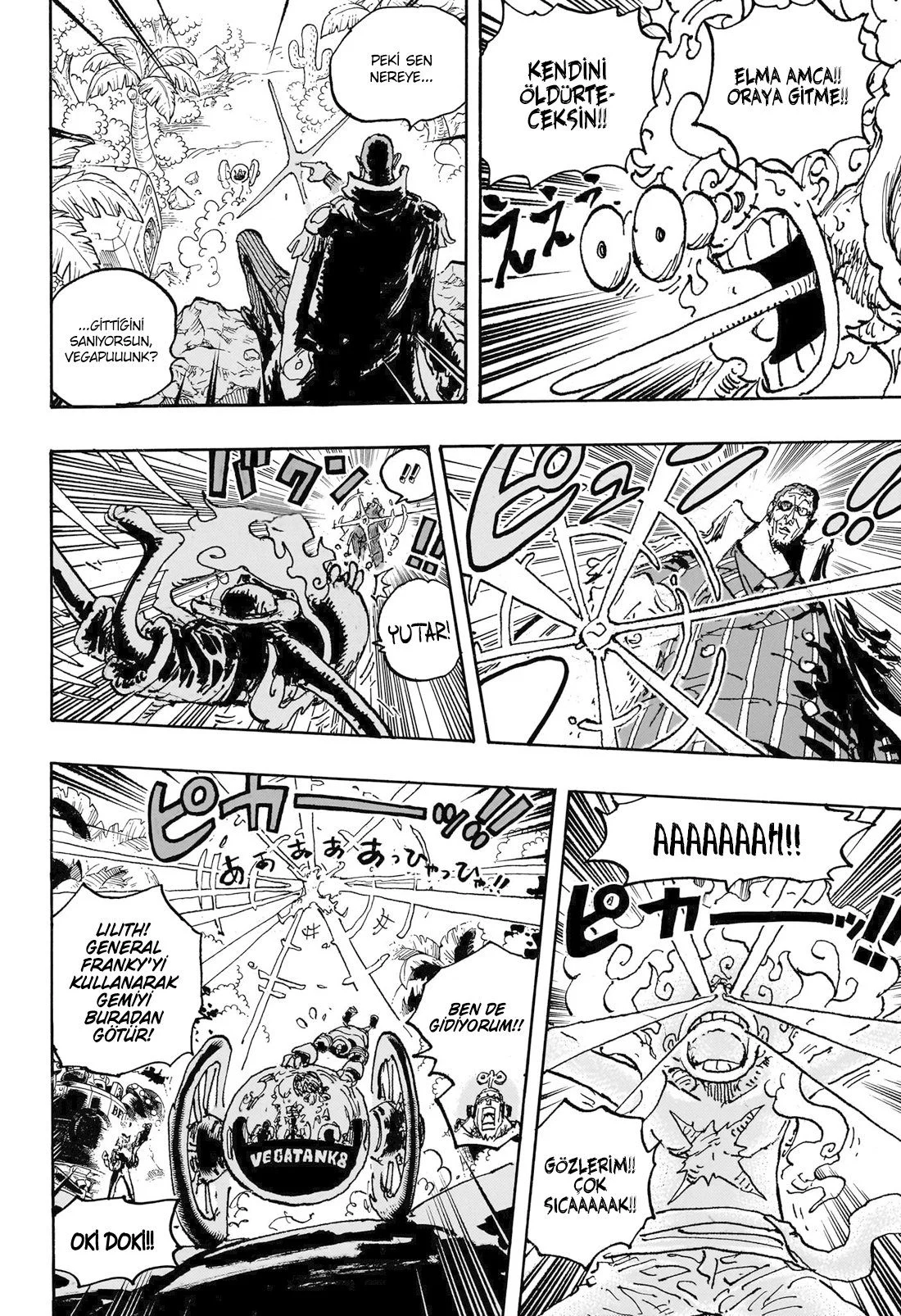 One Piece - Bölüm 1093 - Sayfa 15