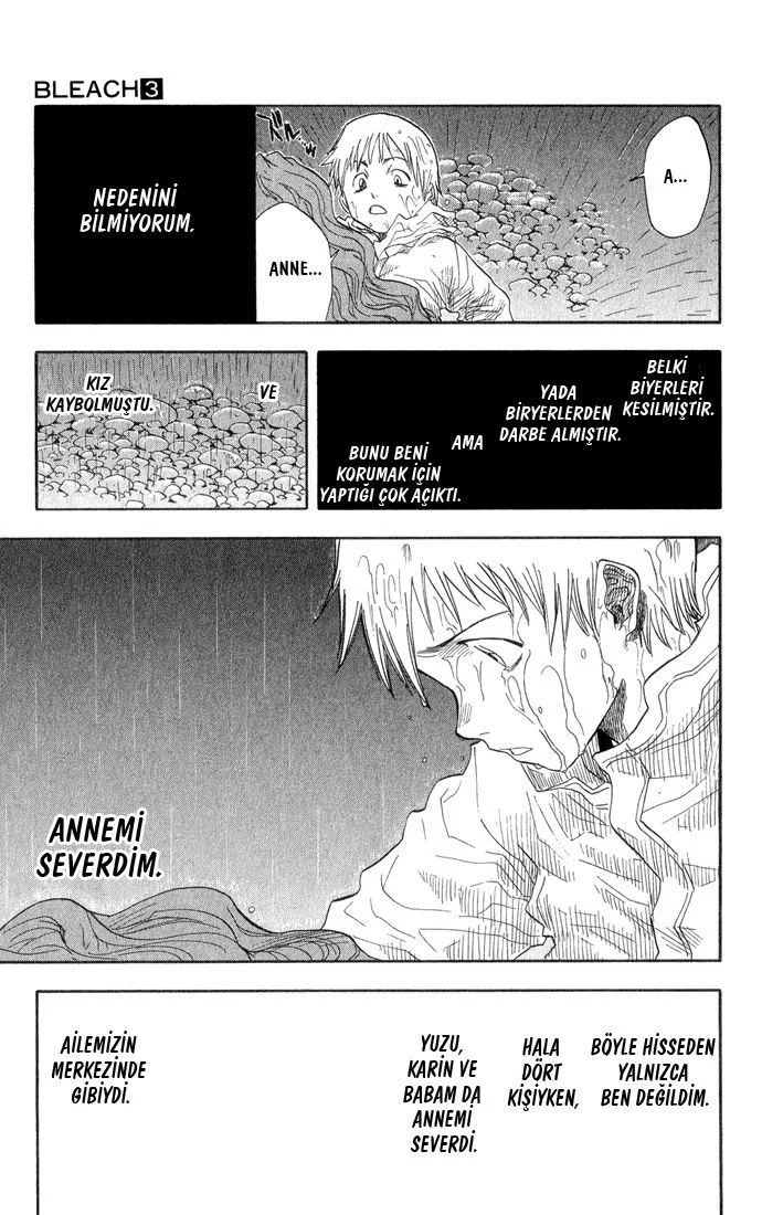 Bleach - Bölüm 19 - Sayfa 15