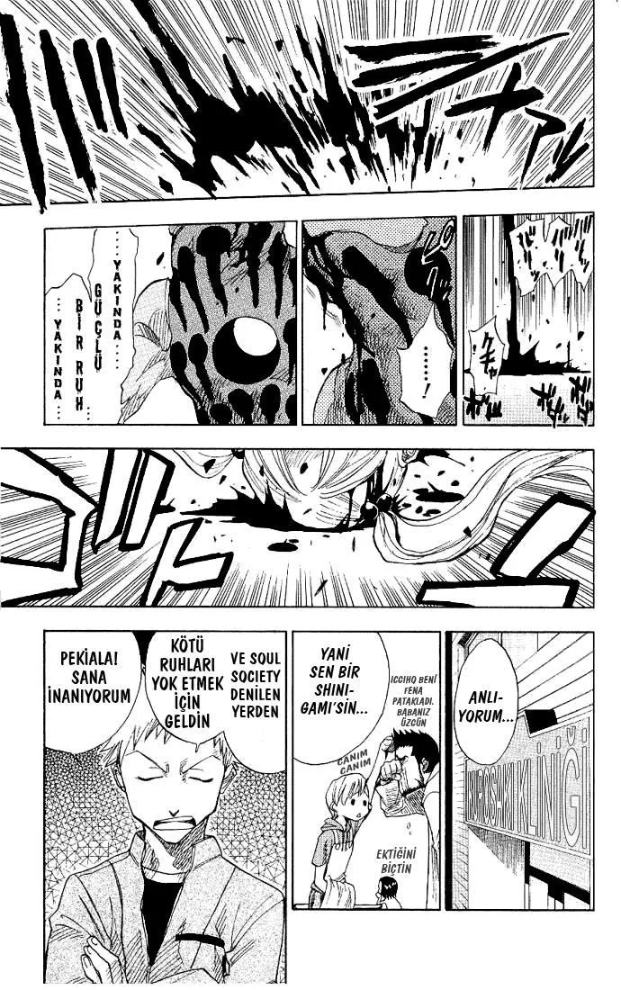 Bleach - Bölüm 1 - Sayfa 15