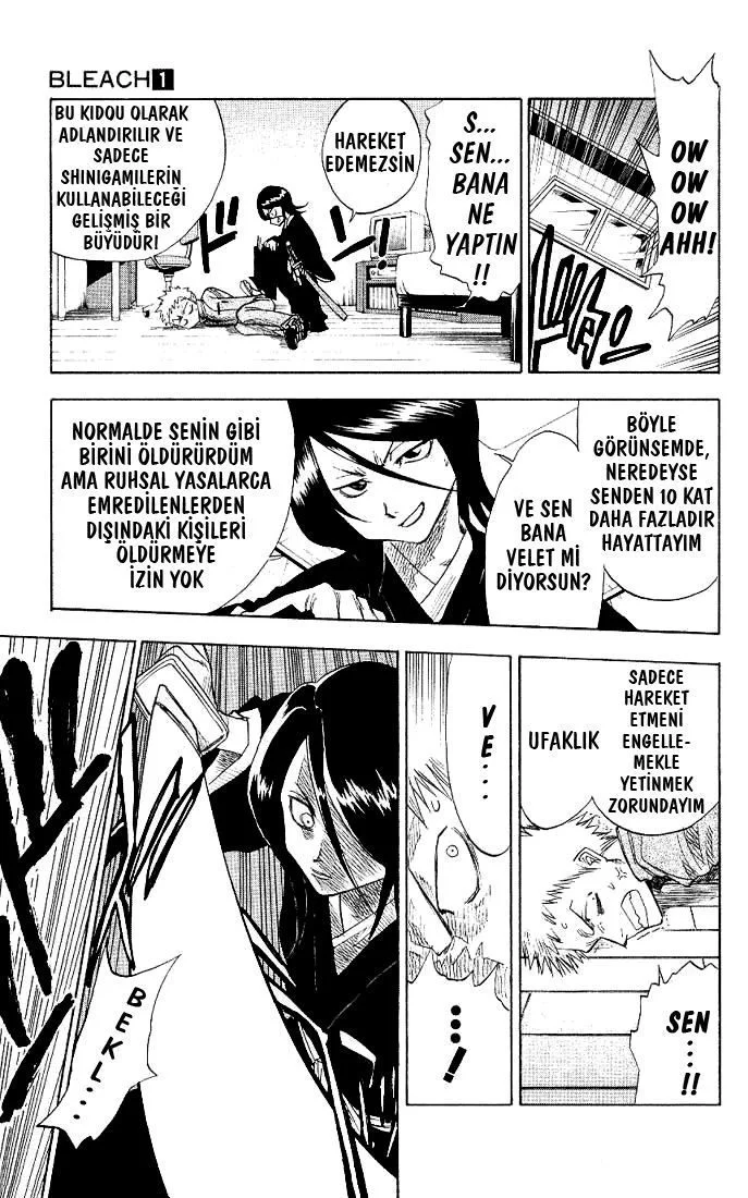 Bleach - Bölüm 1 - Sayfa 17