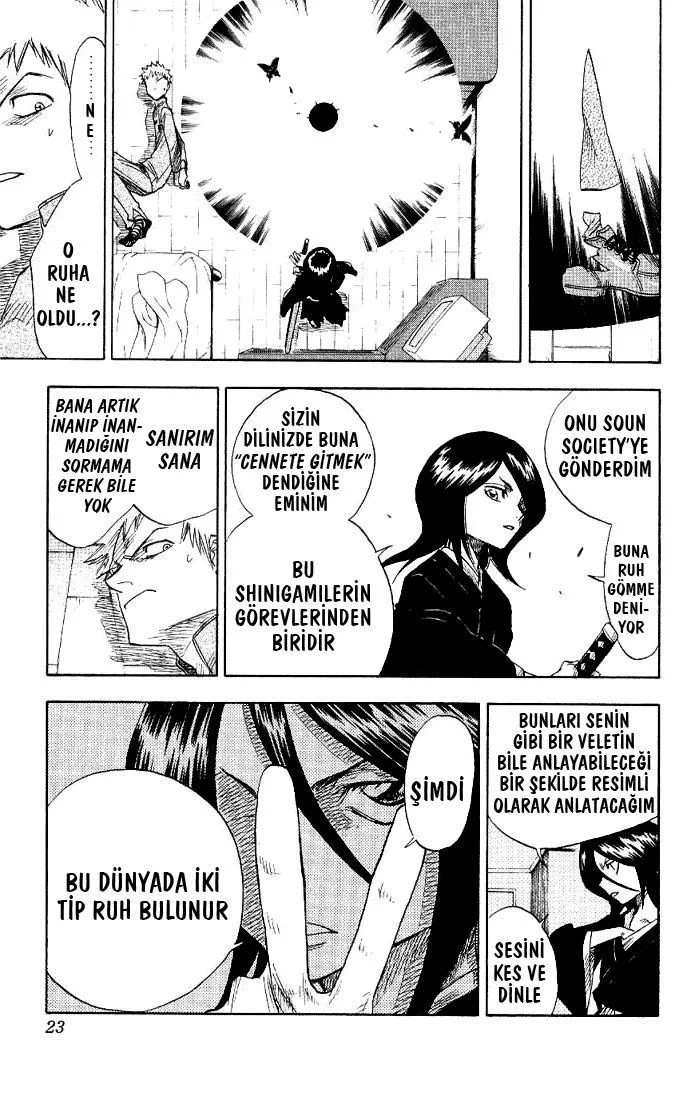 Bleach - Bölüm 1 - Sayfa 19