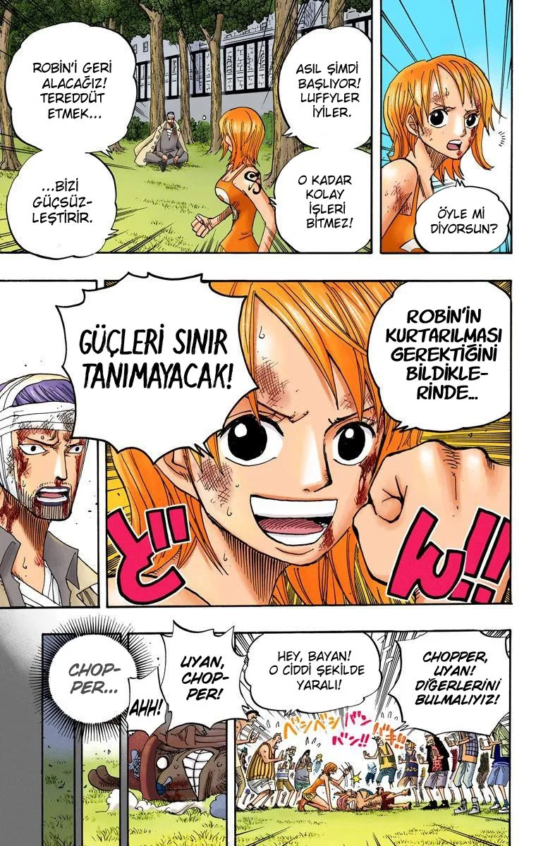 One Piece - Bölüm 359 - Sayfa 17