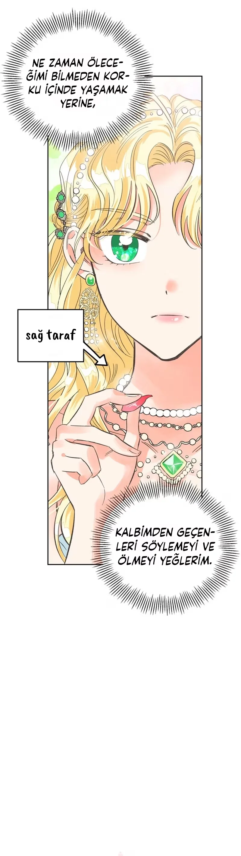 A Villain Is a Good Match for a Tyrant - Bölüm 2 - Sayfa 7
