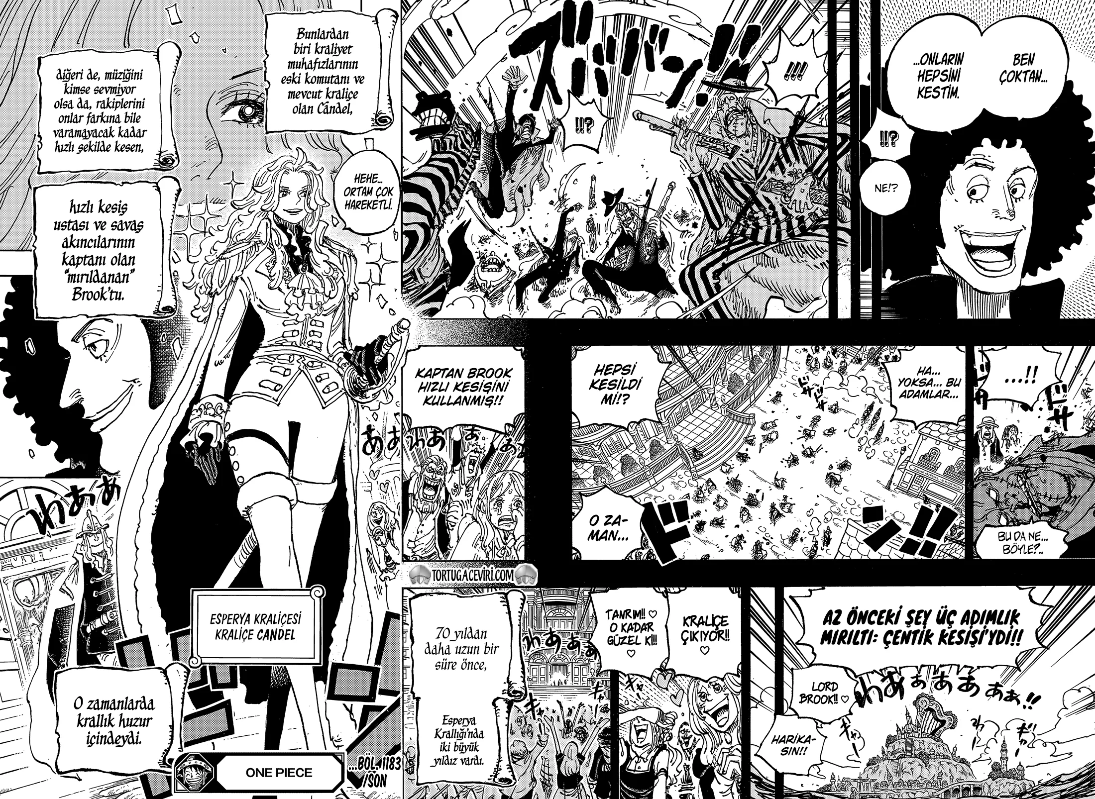 One Piece - Bölüm 1183 - Sayfa 17