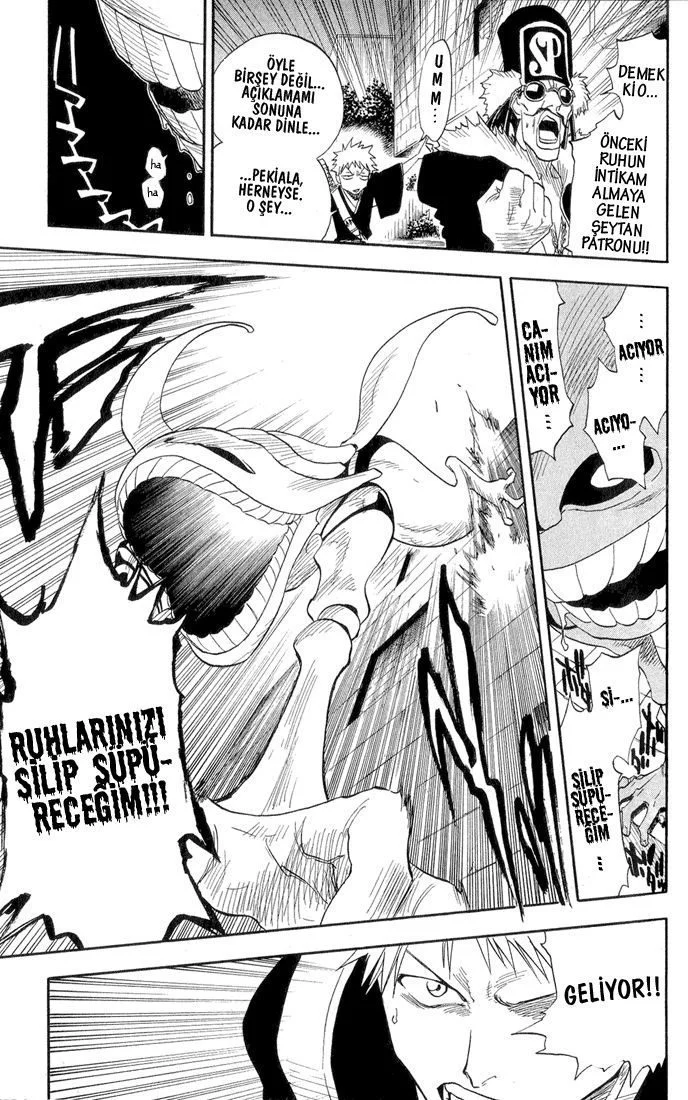 Bleach - Bölüm 30 - Sayfa 14
