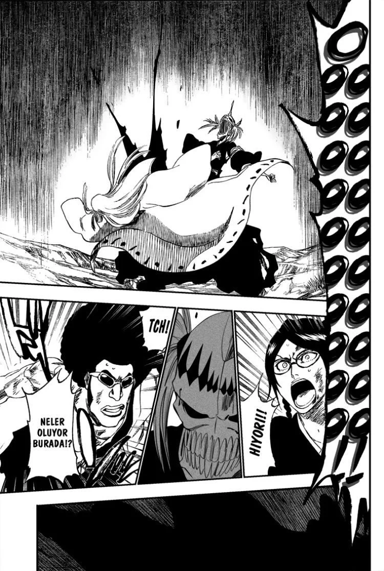 Bleach - Bölüm 315 - Sayfa 13