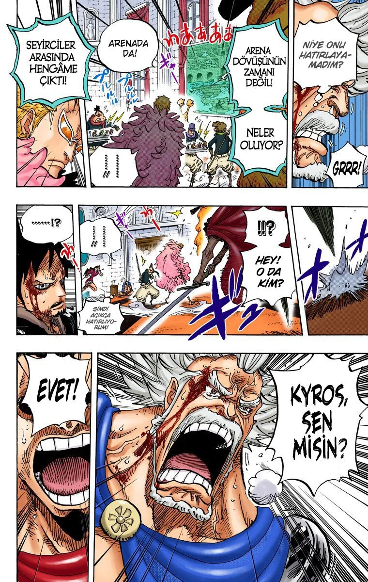 One Piece - Bölüm 743 - Sayfa 13
