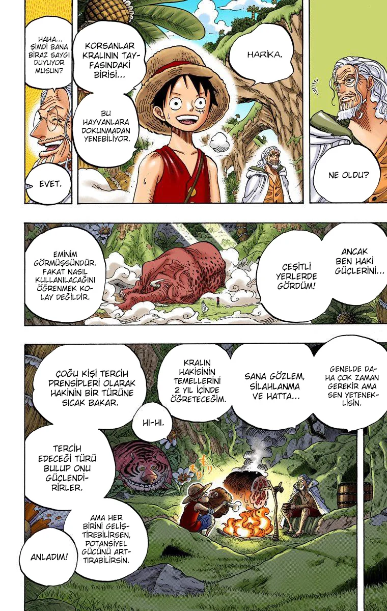 One Piece - Bölüm 597 - Sayfa 15