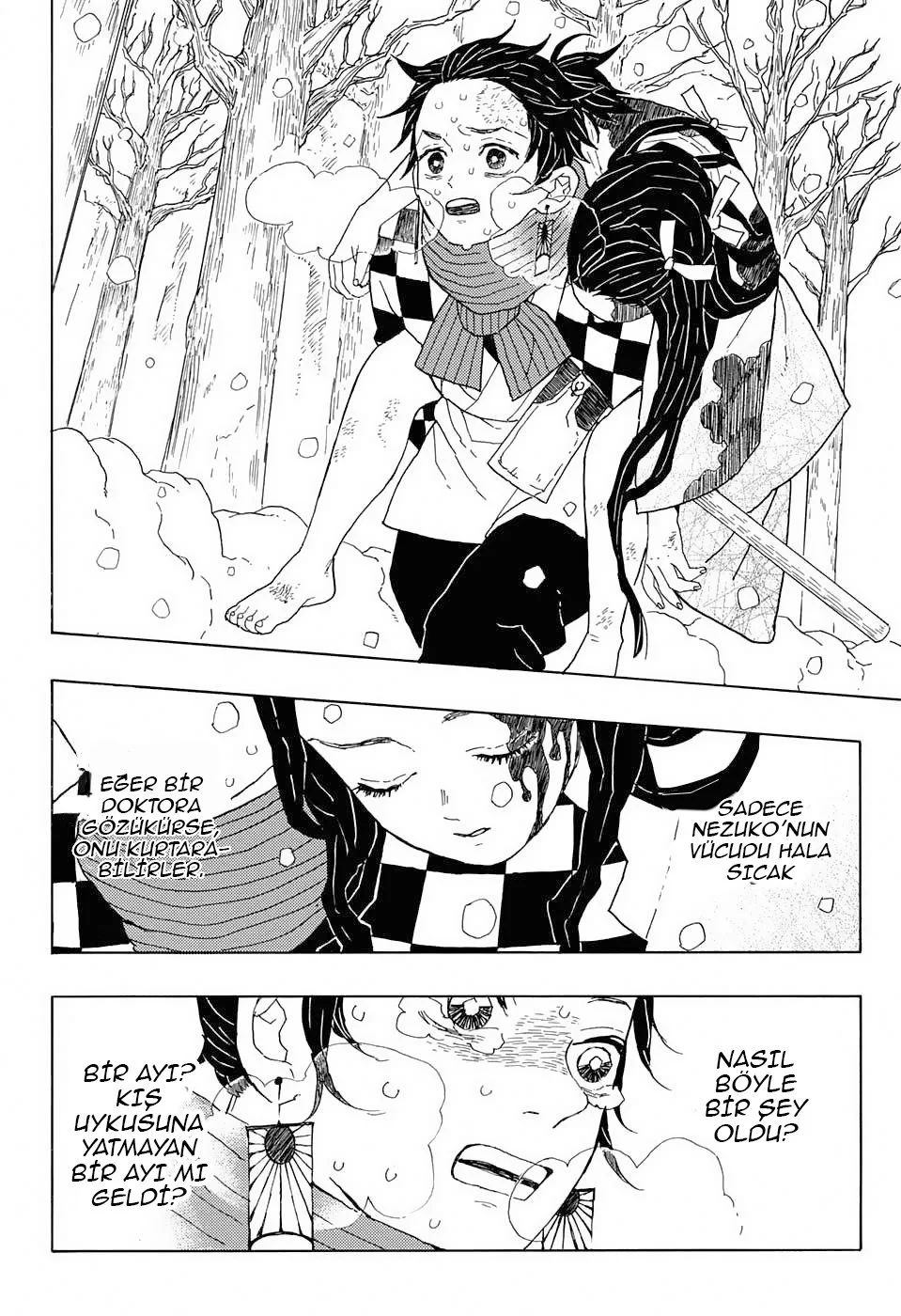Demon Slayer: Kimetsu no Yaiba - Bölüm 1 - Sayfa 17