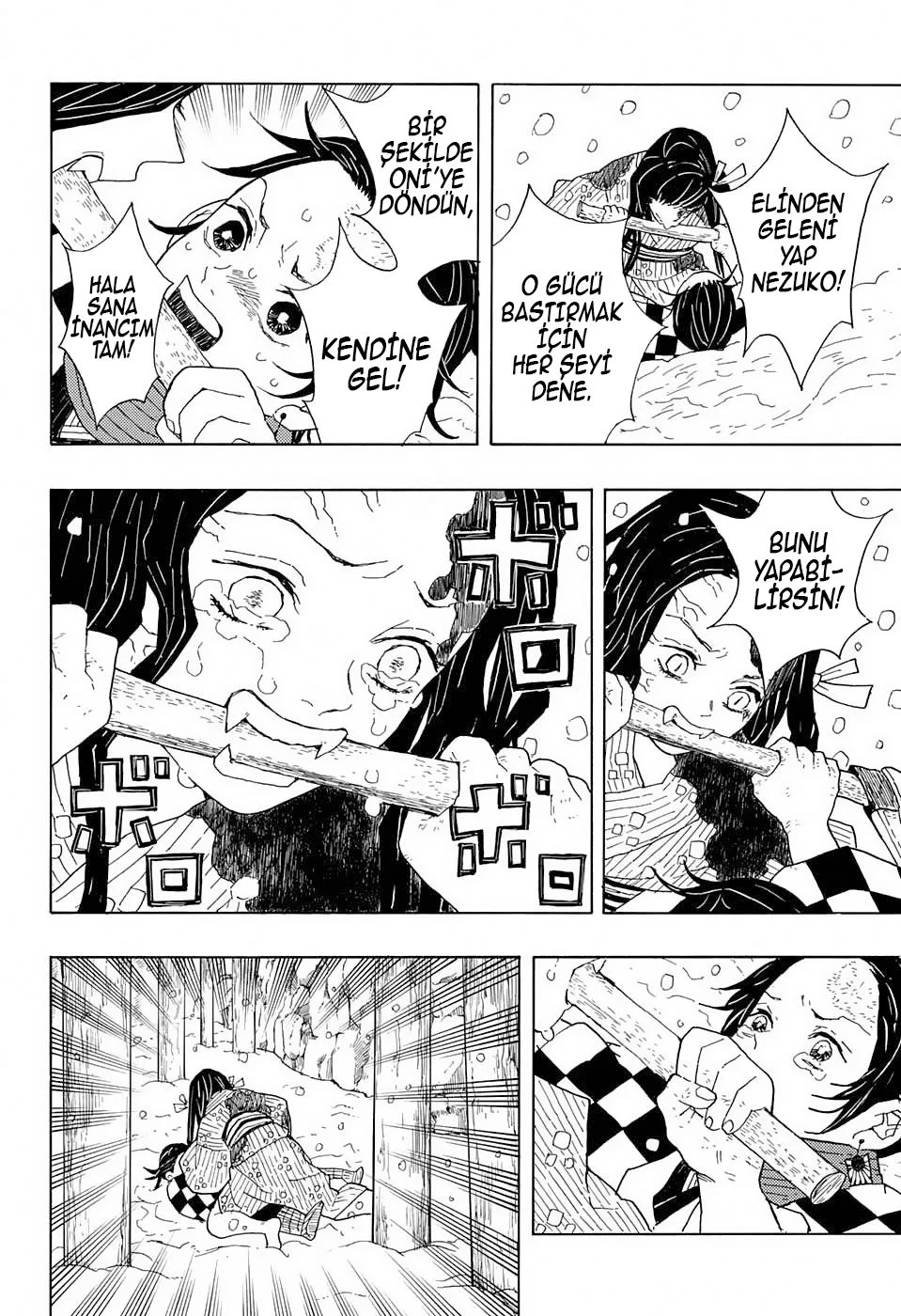Demon Slayer: Kimetsu no Yaiba - Bölüm 1 - Sayfa 25