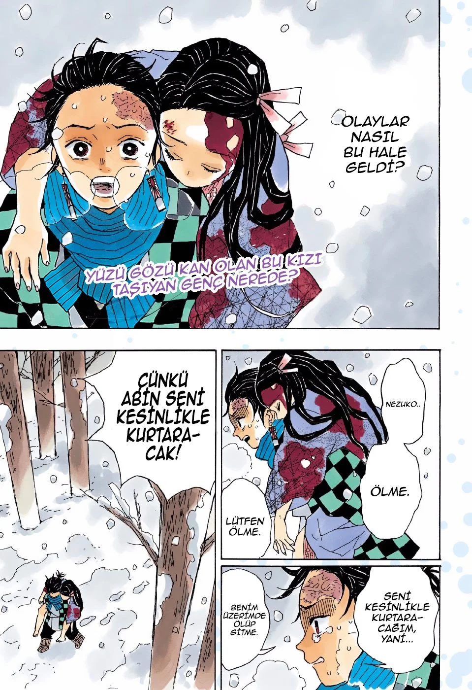 Demon Slayer: Kimetsu no Yaiba - Bölüm 1 - Sayfa 4