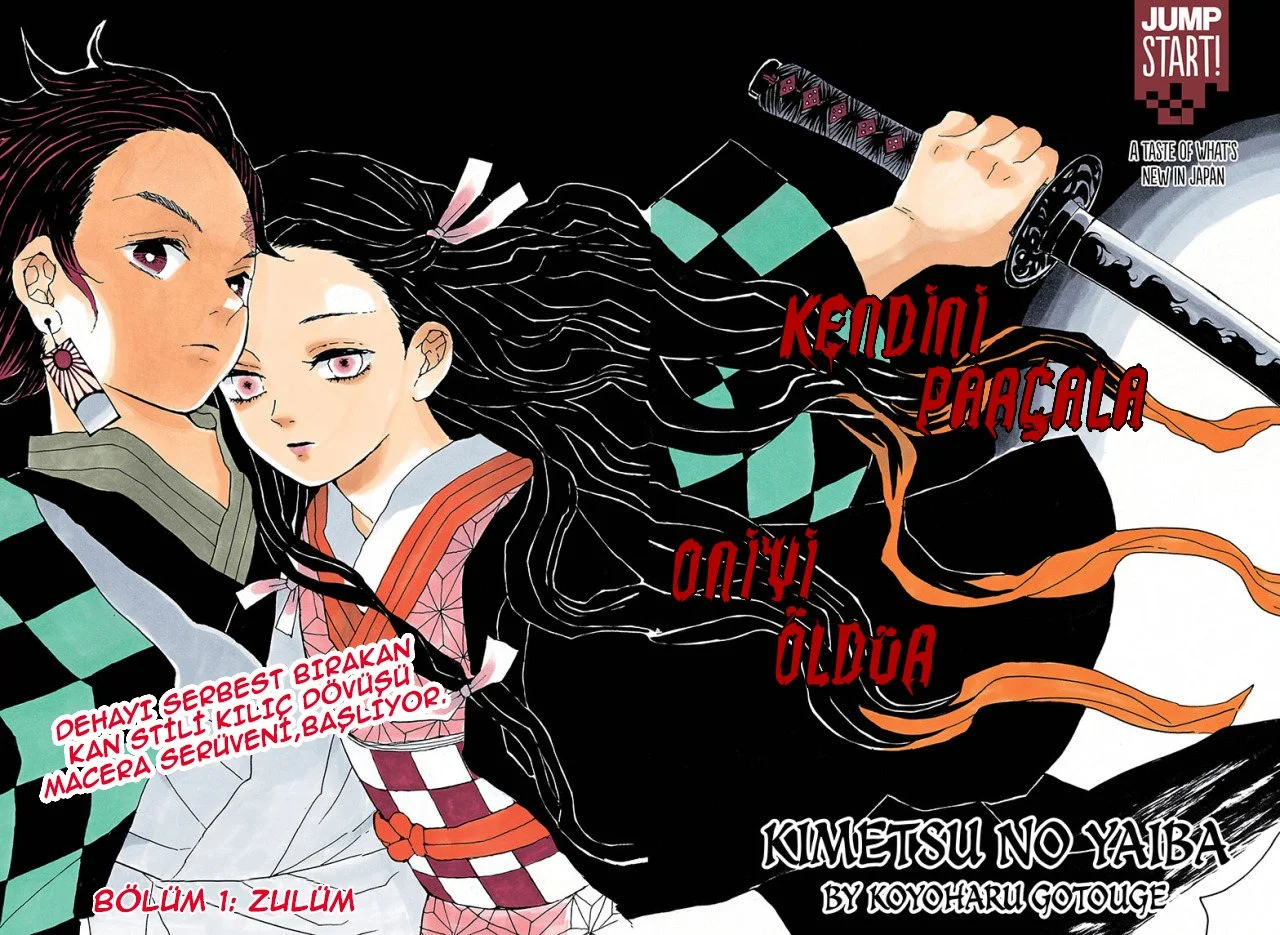 Demon Slayer: Kimetsu no Yaiba - Bölüm 1 - Sayfa 5