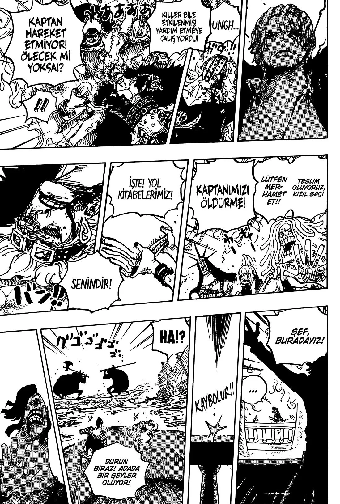 One Piece - Bölüm 1079 - Sayfa 11