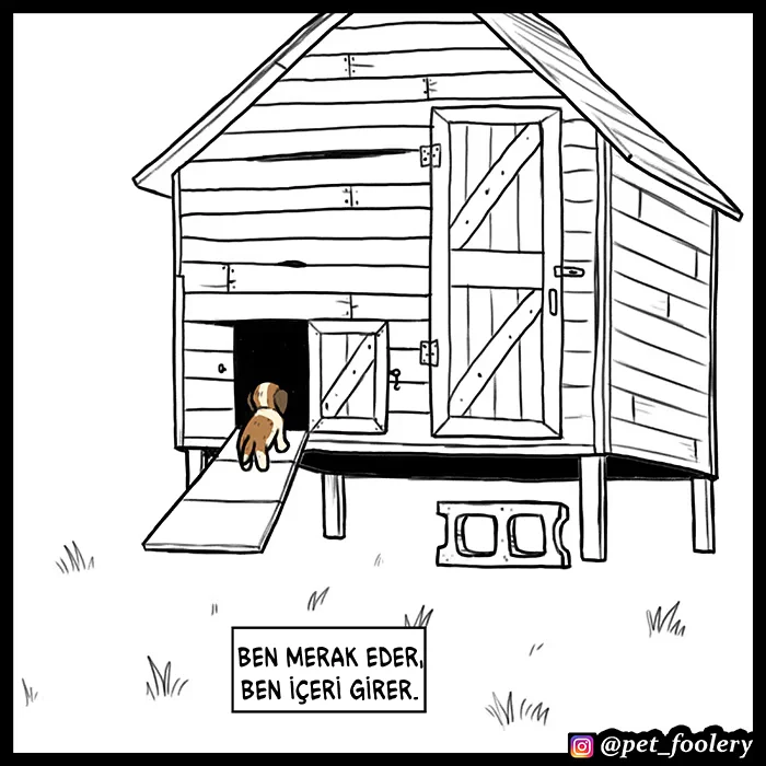 Pixie and Brutus - Bölüm 53 - Sayfa 4