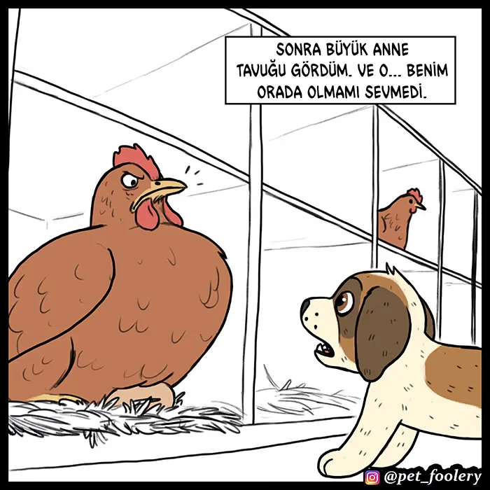 Pixie and Brutus - Bölüm 53 - Sayfa 5