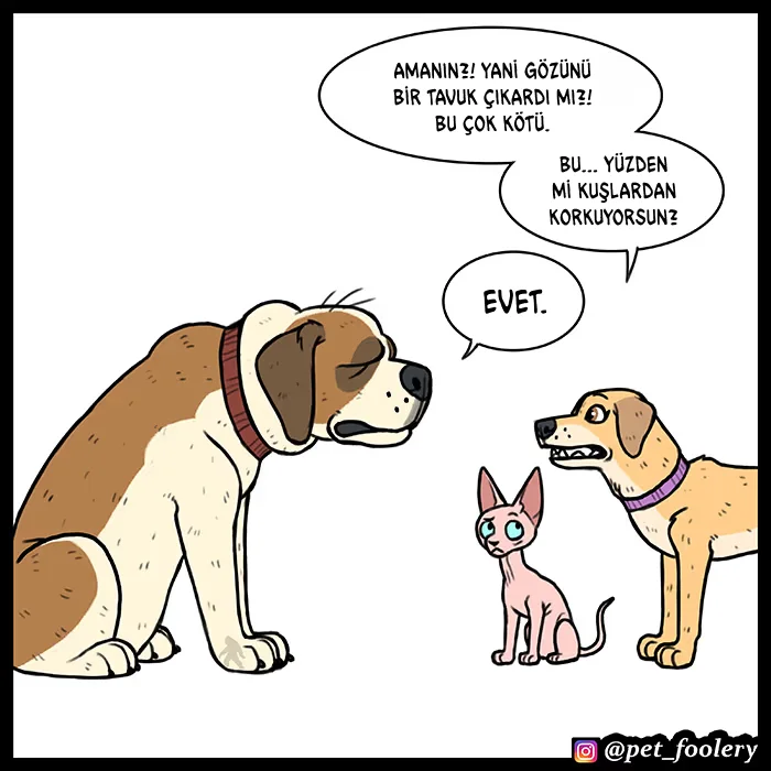 Pixie and Brutus - Bölüm 53 - Sayfa 6