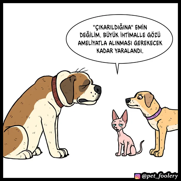 Pixie and Brutus - Bölüm 53 - Sayfa 7