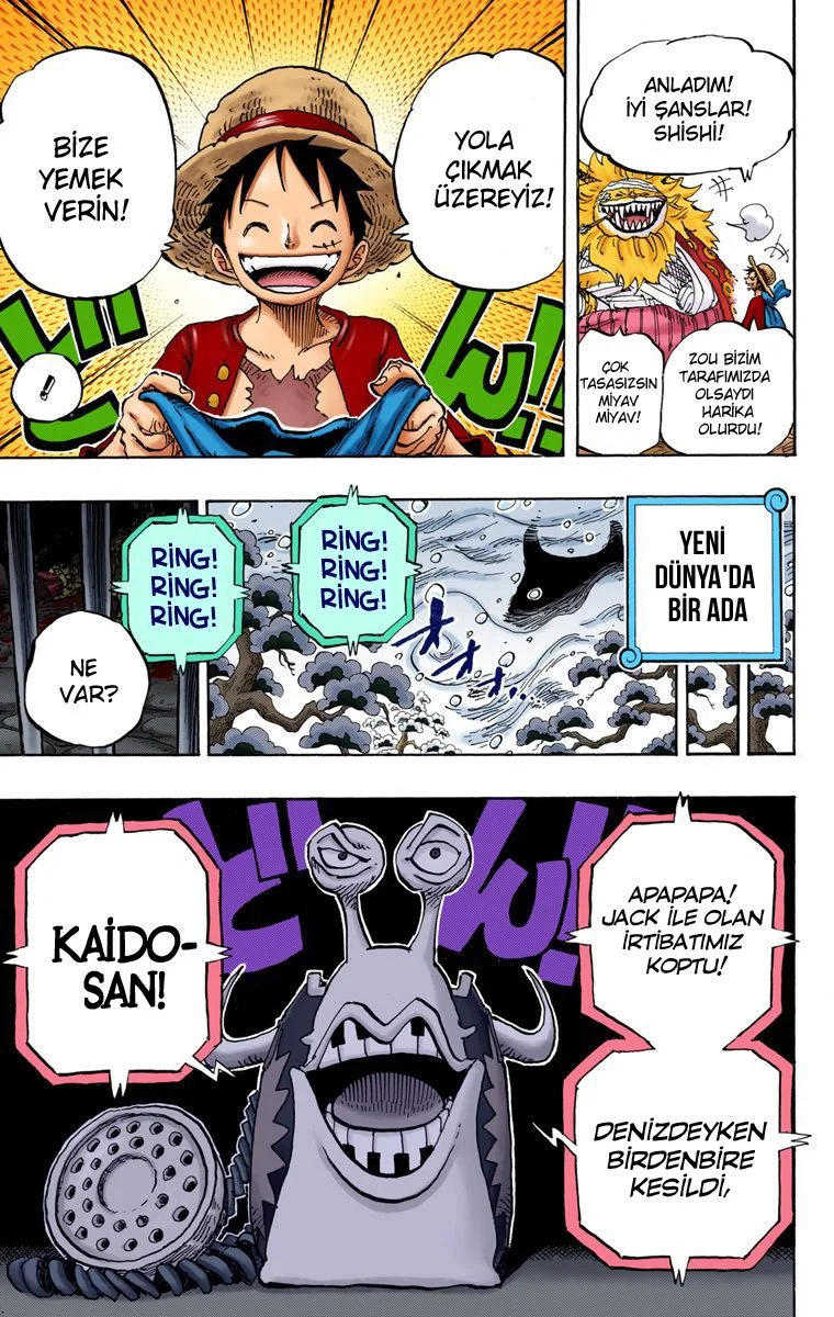 One Piece - Bölüm 821 - Sayfa 17