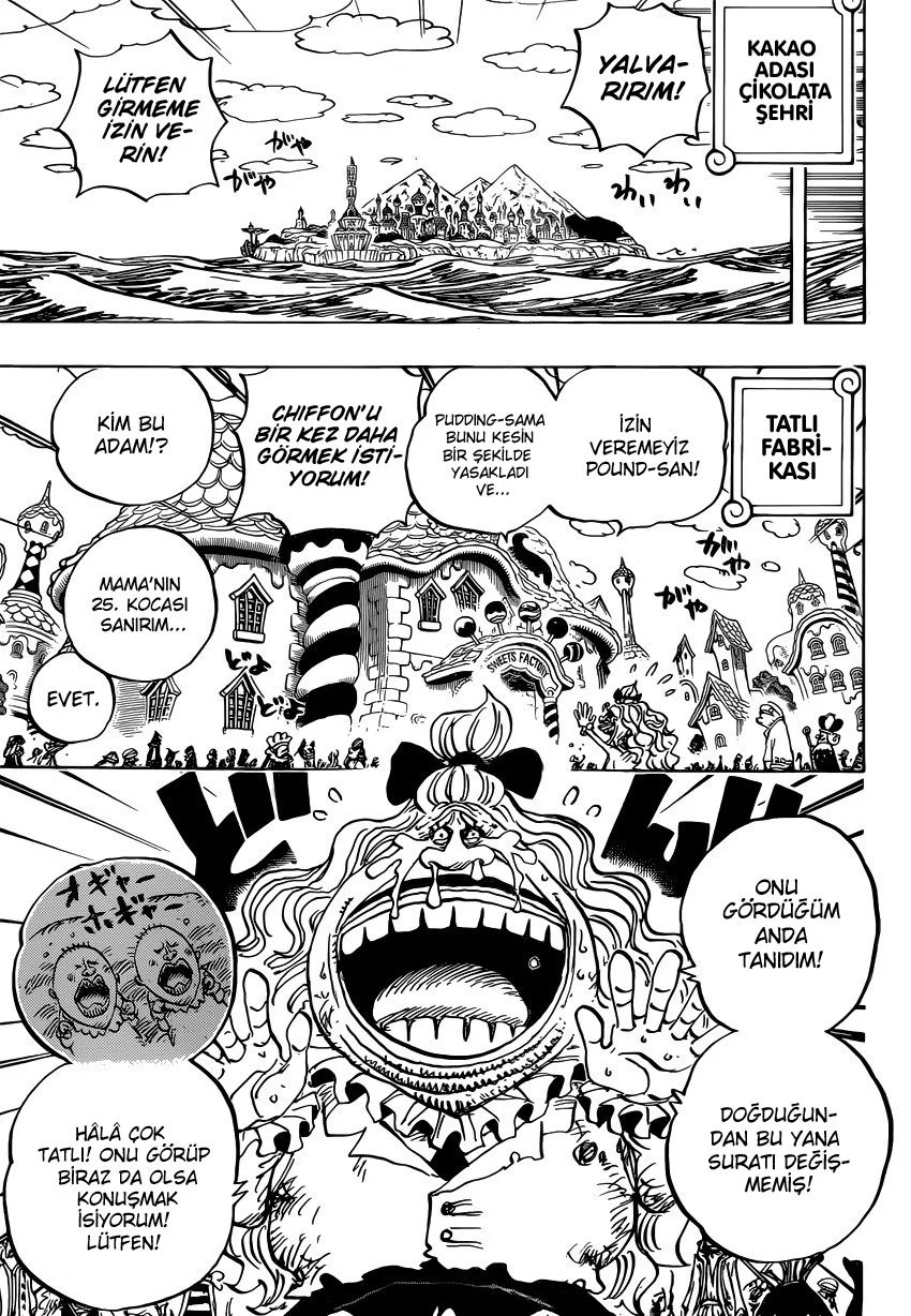 One Piece - Bölüm 884 - Sayfa 11