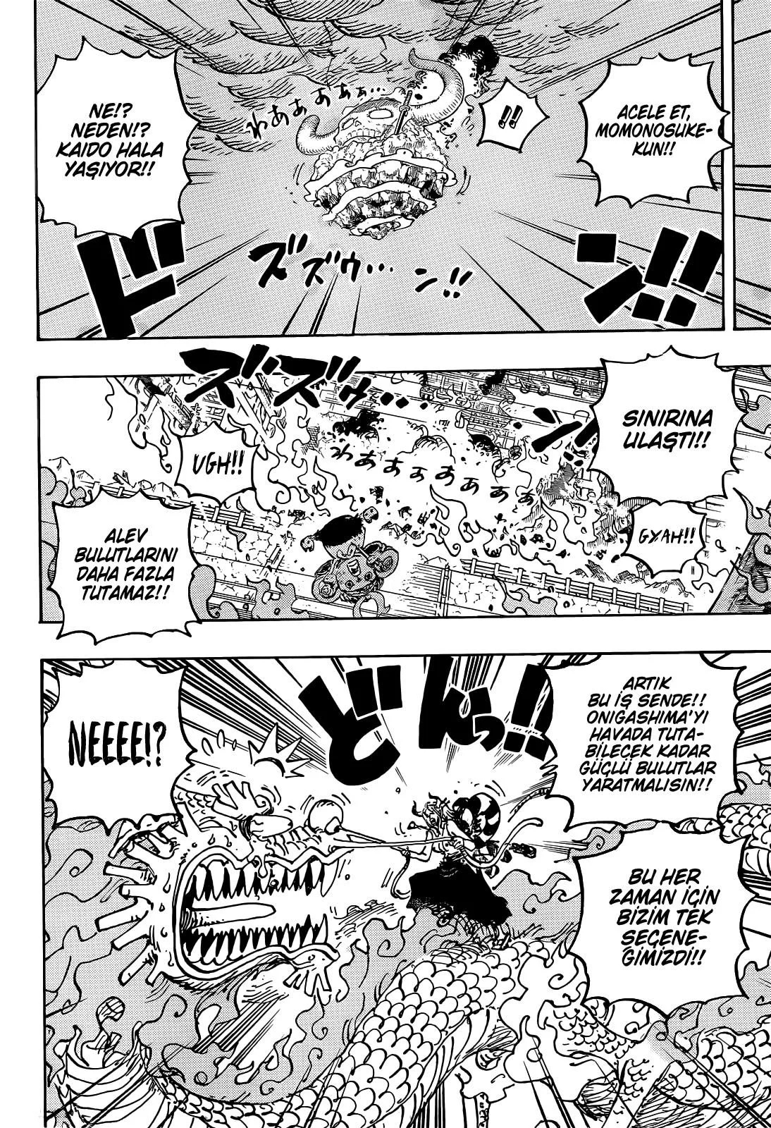 One Piece - Bölüm 1046 - Sayfa 14