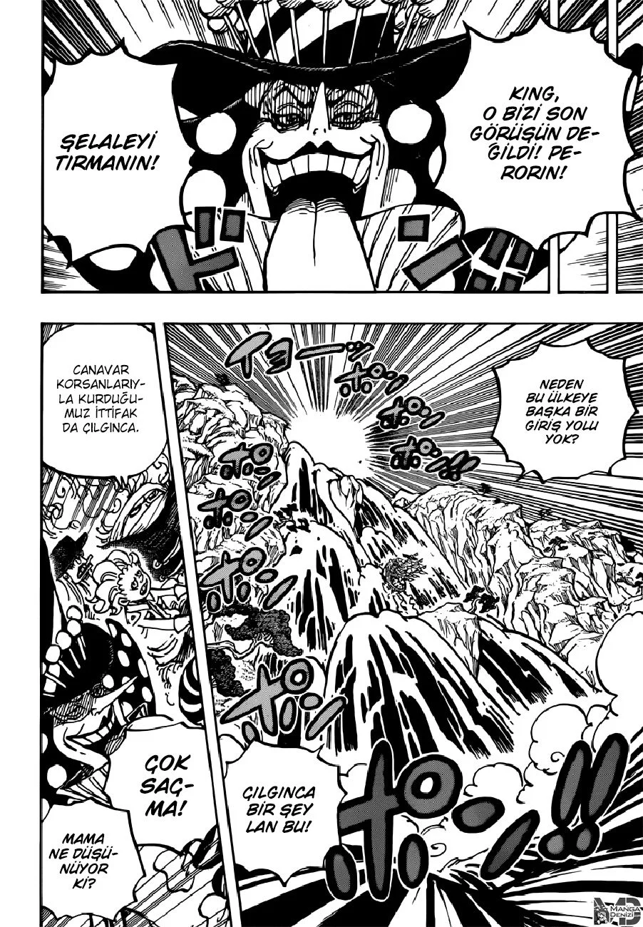 One Piece - Bölüm 981 - Sayfa 15
