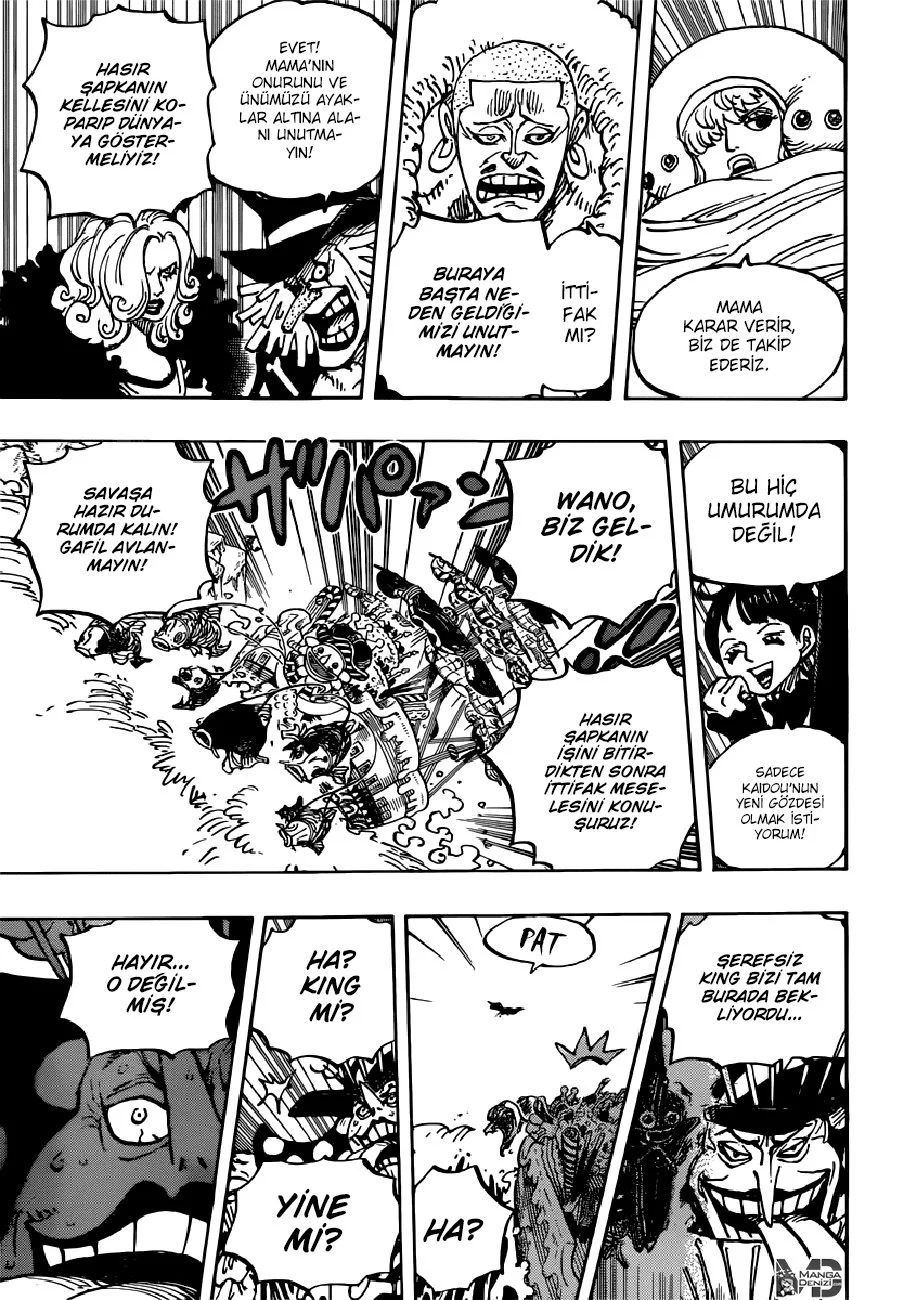 One Piece - Bölüm 981 - Sayfa 16
