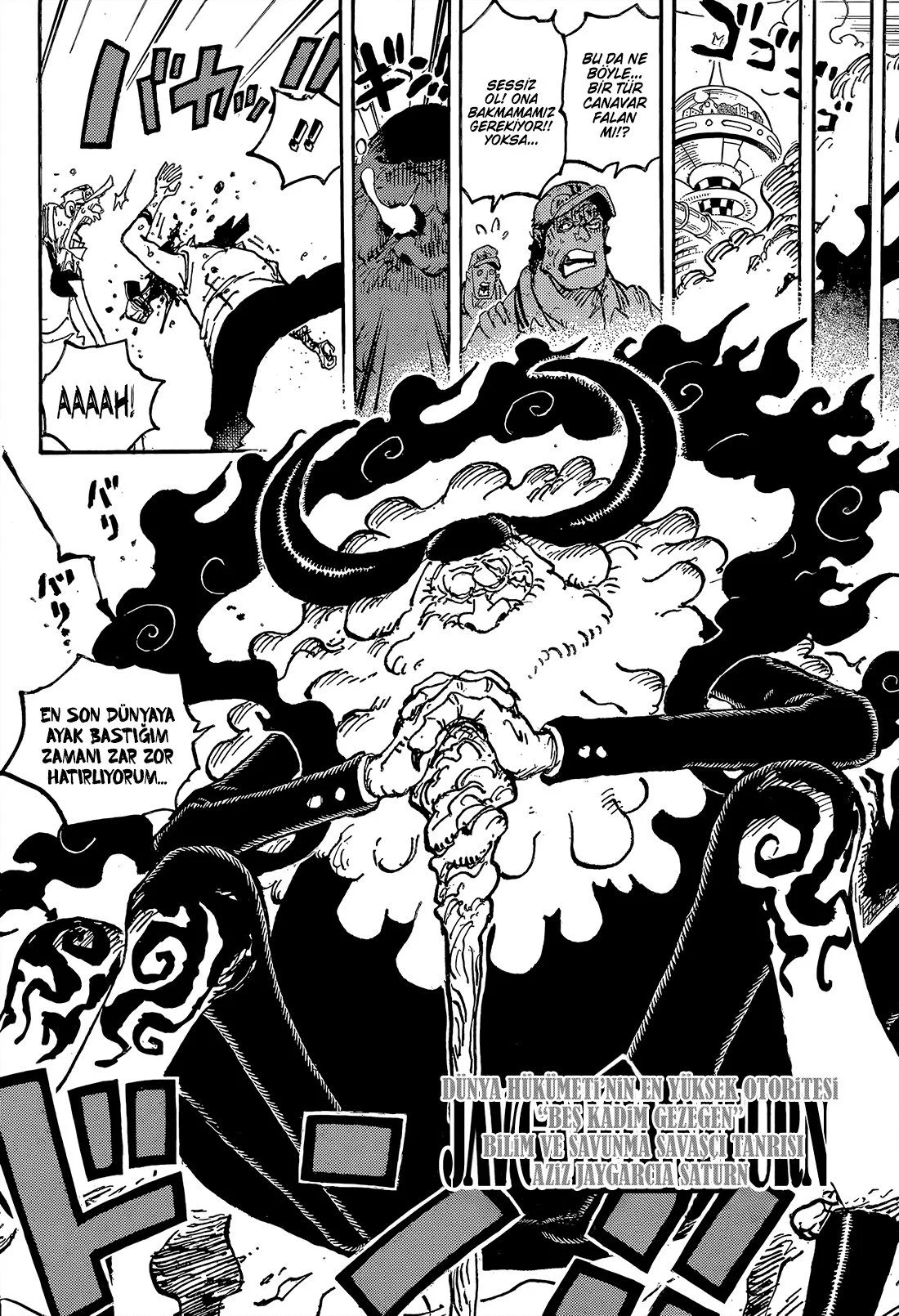 One Piece - Bölüm 1094 - Sayfa 15