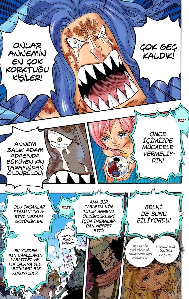 One Piece - Bölüm 644 - Sayfa 13